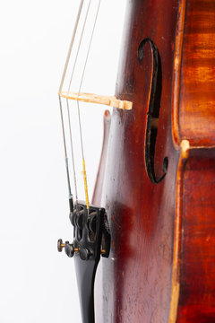 Violin close up isolated on white background