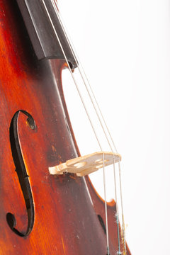 Violin close up isolated on white background