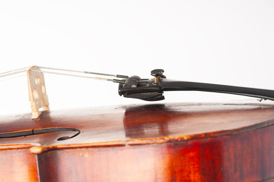 Violin close up isolated on white background