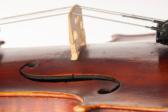 Violin close up isolated on white background