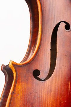 Violin close up isolated on white background