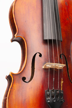 Violin close up isolated on white background