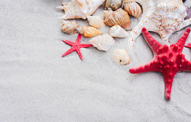 Seashells and red sea stars on the sand. Summer beach background in Thailand with copyspace for text