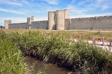 External fortification and stream of Aigues Mortes, French city walls in the Gard department in the...