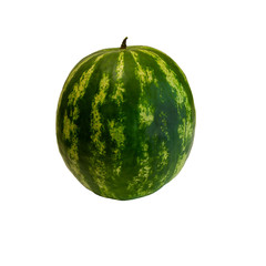 Watermelon ordinary. Gourd culture spherical shape, the color of the bark from white and yellow to dark green with a pattern in the form of stripes and spots.