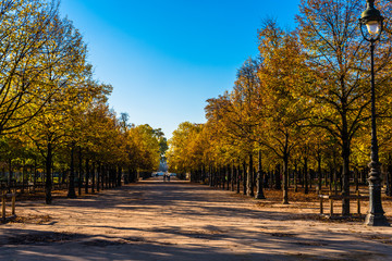 Fototapeta na wymiar A Walk in the Tuilerie Gardens