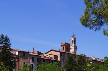 Fototapeta na wymiar Top of Mangia Tower, Siena, Italy