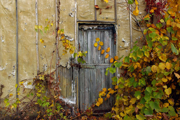 Old Door. Old Doors. Image of wooden door. Old House. Old Wooden Door On Brick Wall. Old Wooden Door.
