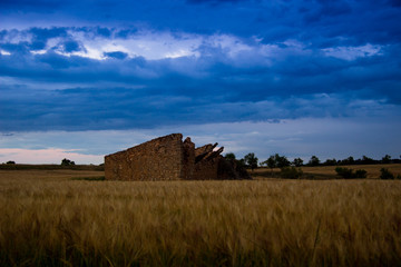 Fototapeta premium paisaje natural con cielo