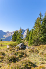 Wandern im Berner Oberland mit Blick auf die Schweizer Alpen - Kanton Bern, Schweiz