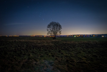 Nocna panorama miasta © Sebastian