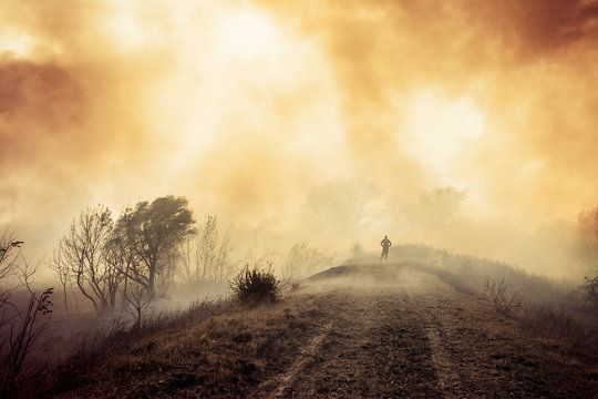 Brave Firefighters Extinguish A Huge Wild Fire In The Forest