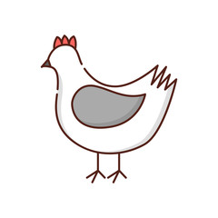 Vector flat cartoon hen isolated on white background