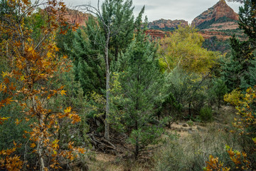 Fall in Sedona