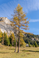 Wandern im Berner Oberland mit Blick auf die Schweizer Alpen - Kanton Bern, Schweiz