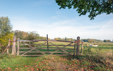 Simple wooden gate closed with knotted orange-colored rope and an iron chain with padlock.