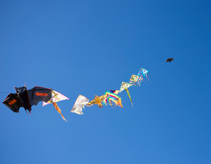 colorful kites in blue sky