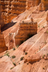 landscape on the bryce canyon in the united states of america