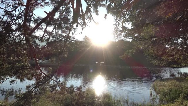Lake at sunset from the bassa de oles in the valley of aran