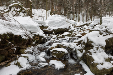 Winterlicher Rißbach