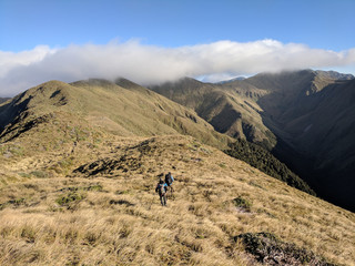 Fototapeta na wymiar Mount Alpha in Spring - New Zealand Hunting