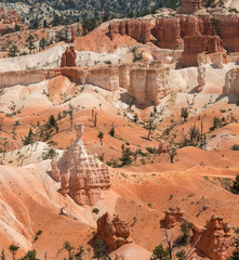 landscape on the bryce canyon in the united states of america