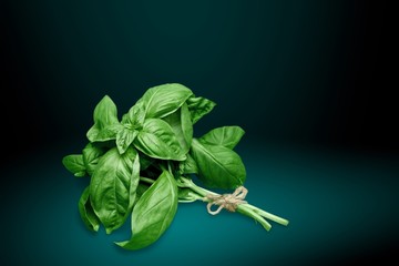 Green basil leaves on white background