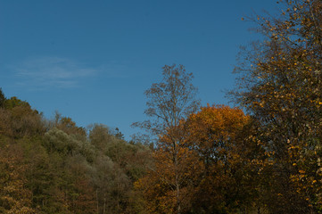 Fototapeta premium autumn in Upper Austria