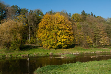autumn in Upper Austria