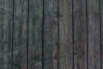 wooden old planks texture tree background many