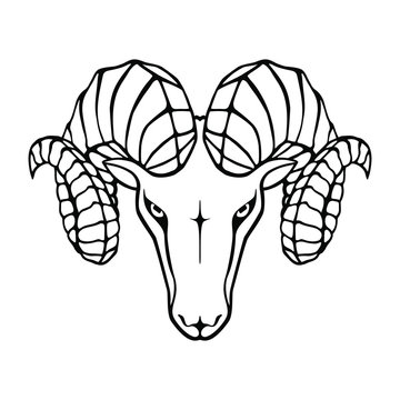 Aries graphic icon. Head ram black sign isolated on white background. Symbol argali. Vector illustration