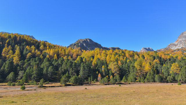 Fototapeta Montagna autunnale colorata di verde, blu e giallo