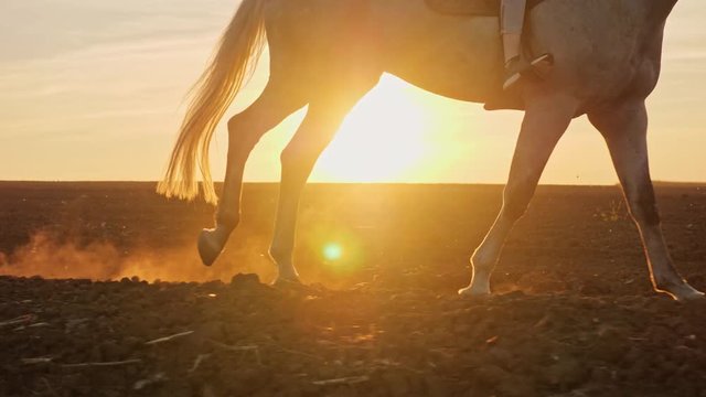 Close-up of girl legs riding on a horse on the field during sunset, slow motion