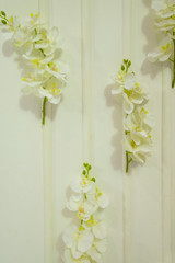 Backdrop decorations by white orchid on white background.