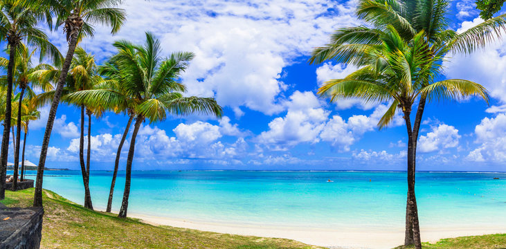 Perfect tropical beach scenery with palms and turquoise sea. Mauritius island