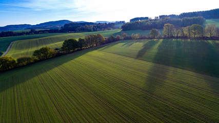 Feld und Wald von oben im Gegenlicht