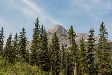 Scene from a mountain in British Columbia, Canada