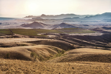 Fototapeta na wymiar mountain landscape with a vineyard