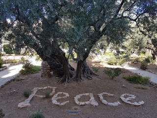 young woman walking in the park