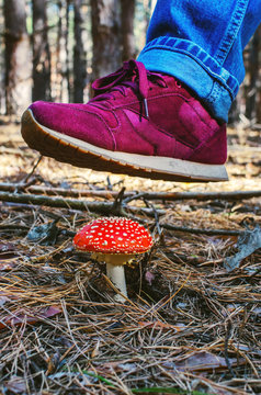leg in red sneaker over mushroom