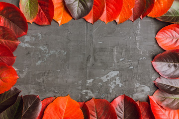 Colorful autumn leaves on the rustic background
