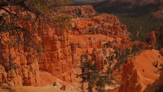 panning view over Bryce Canyon amphitheatre