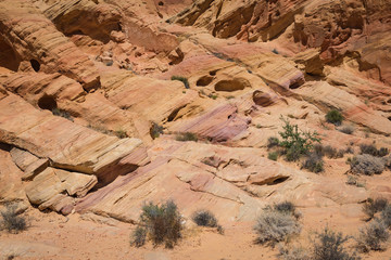 desert rocks