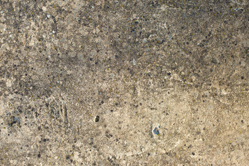 Asbestos slate texture concrete covered with lichen and moss	