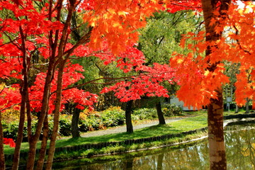 北海道、札幌、紅葉の日本庭園の風景