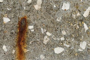 Asbestos slate texture concrete covered with lichen and moss