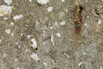 Asbestos slate texture concrete covered with lichen and moss