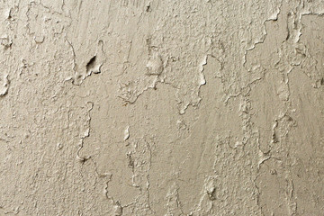 Asbestos slate texture concrete covered with lichen and moss	