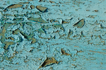 Vintage wood texture, crack paint grunge blue, Nails and screws hammered into the board