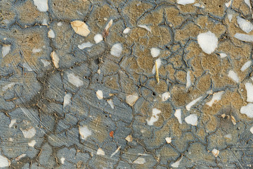 Asbestos slate texture concrete covered with lichen and moss	
